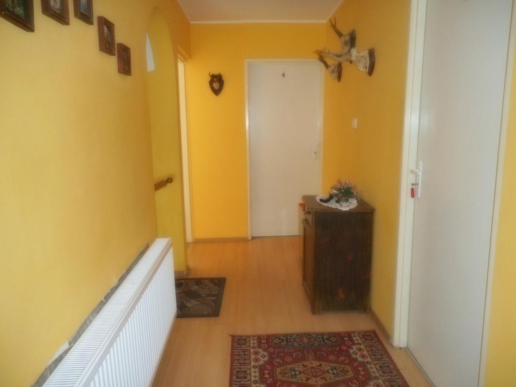 Apartamento Przy Lesie Nowe Exterior foto