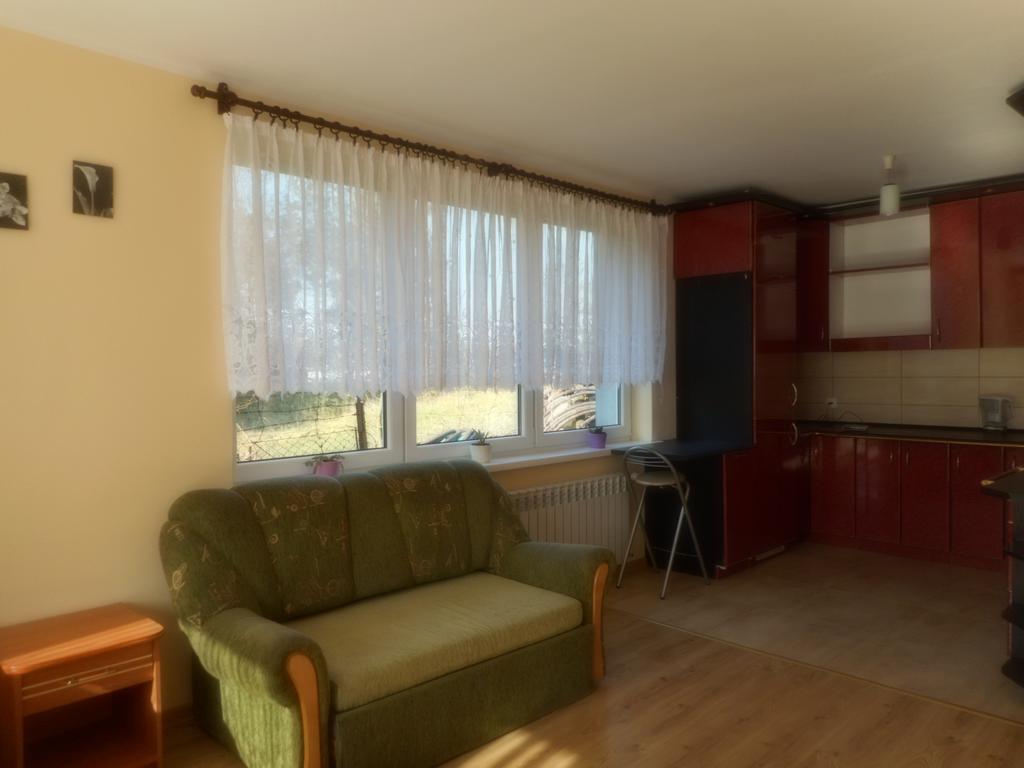 Apartamento Przy Lesie Nowe Exterior foto